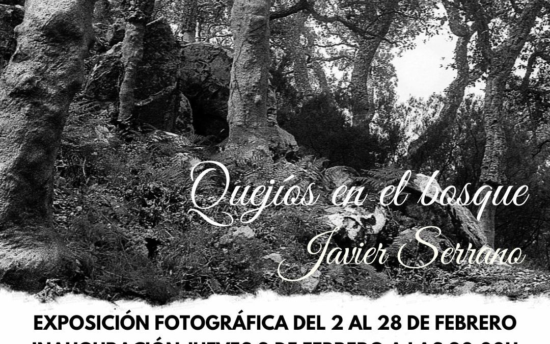 Javier Serrano ofrece su visión del Parque Natural de los Alcornoques y de la saca del corcho en la muestra ‘Quejíos en el bosque’
