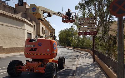 El Ayuntamiento contrata a una empresa especializada para sanear los árboles de Novo Hamburgo que alcanzan los 15 metros de altura