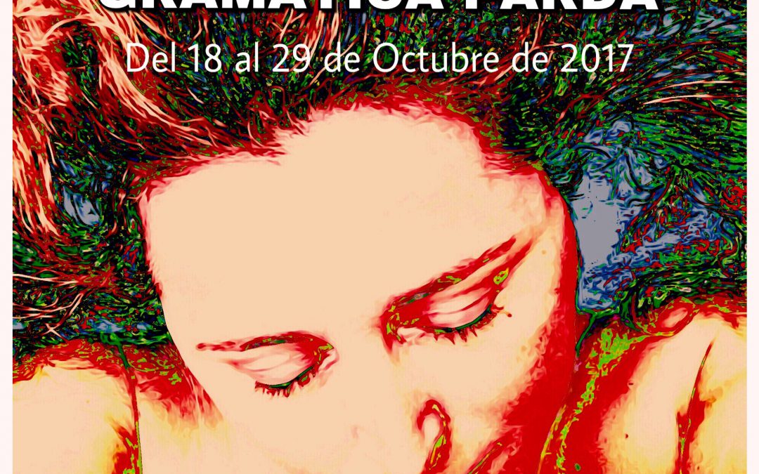 Jornada de libros en la calle y presentación del libro Matices de Pilar Contreras