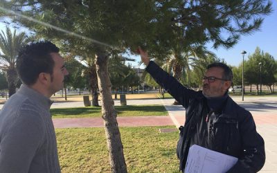 Mantenimiento comienza la campaña preventiva contra la procesionaria