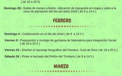 Nuevas actividades medioambientales para el primer trimestre de 201