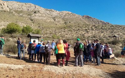 Medio Ambiente mejora la zona de la pinada del Trinitario con la colocación de paneles y el arreglo de  sendas