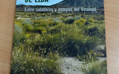 El Inventario del Patrimonio Vegetal de Elda, Práctica Seleccionada en un premio de la Red de Gobiernos Locales por la Biodiversidad