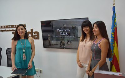 Ayuntamiento y asociación Gatitos en Apuros inician el proyecto de castración y alimentación controlada de las colonias de felinos