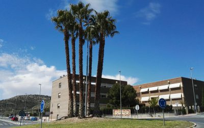 Elda apuesta por la educación pública con la oferta de 336 plazas de 0 a 3 años