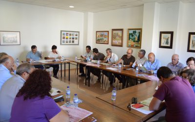 El Ayuntamiento de Elda ha realizado un total de 2599 procedimientos en 2018, dedicados a Licencias de Obras mayores, menores, de primera y segunda ocupación y declaraciones responsables