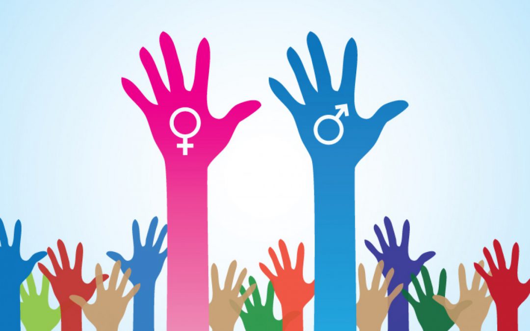 El Ayuntamiento de Elda ampliará en 2019 el servicio de asesoramiento para favorecer la Igualdad