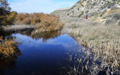 Comienza la exposición para la declaración de Paraje Natural Municipal de El Pantano