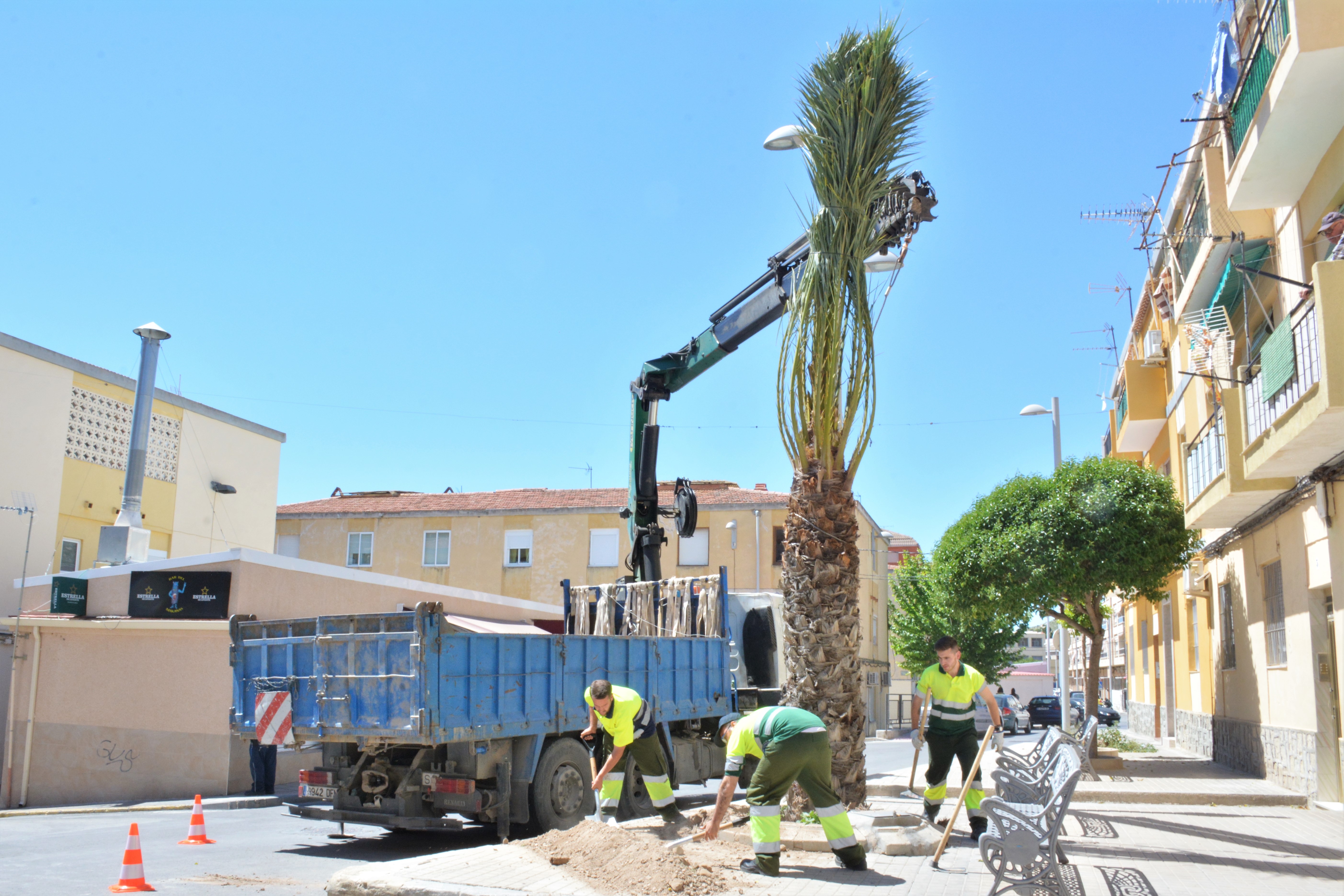 El barrio Virgen de la Salud de Elda recupera su icónica palmera