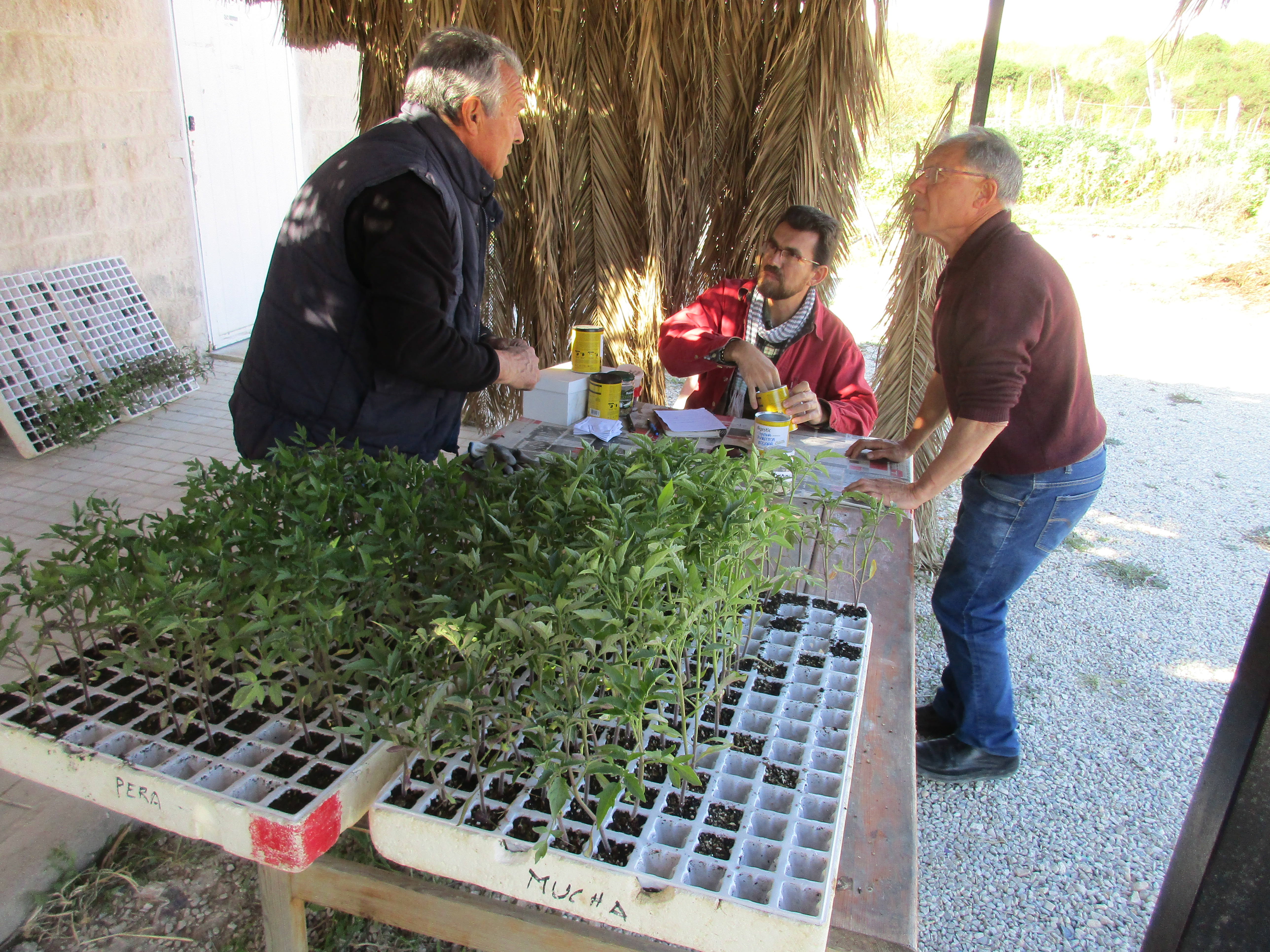 El Ayuntamiento de Elda abre el plazo para la solicitud de los 37 huertos ecológicos municipales