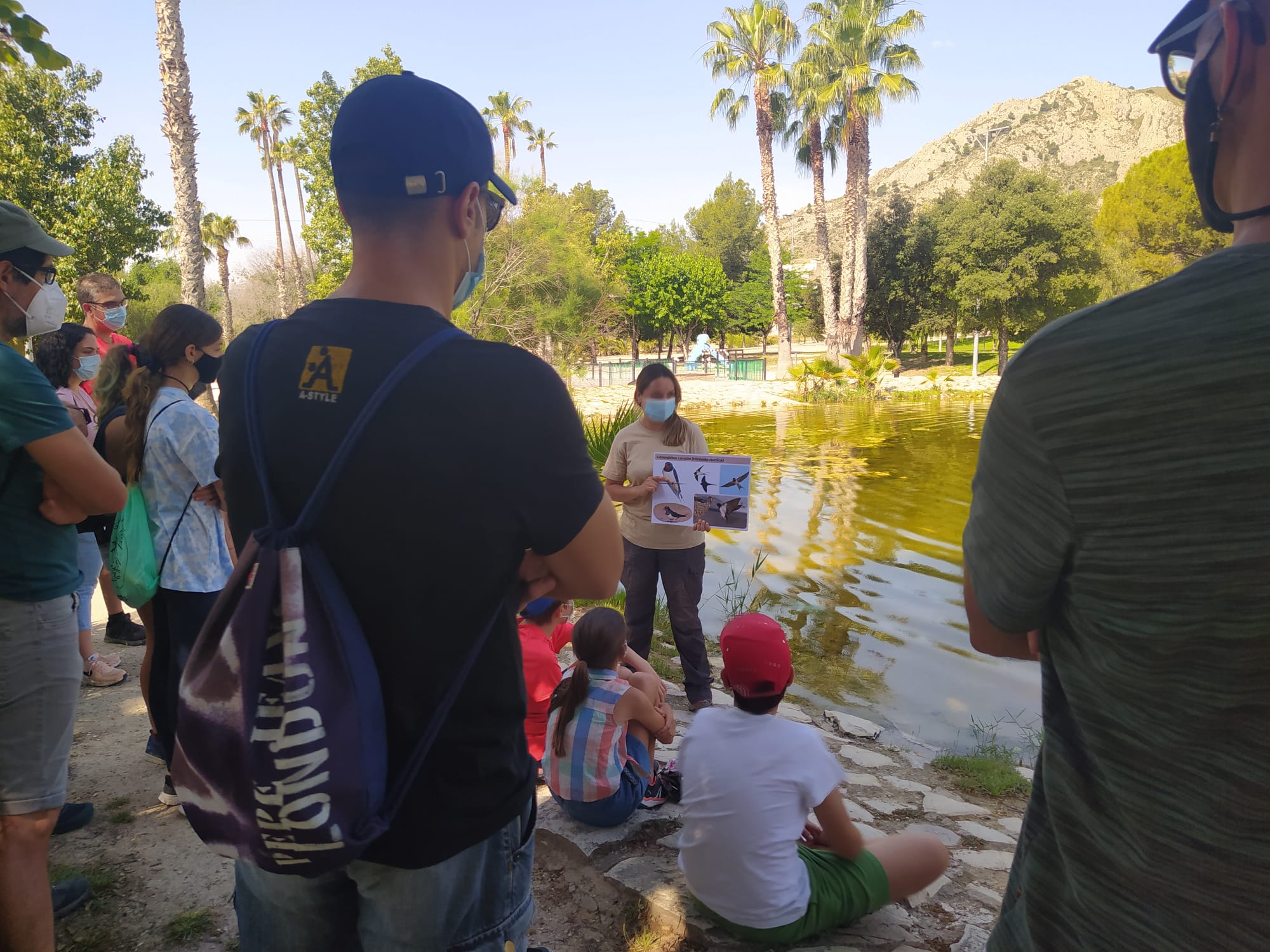 Más de 60 personas han participado en los tres talleres organizados para conocer las aves que habitan en el área urbana de Elda