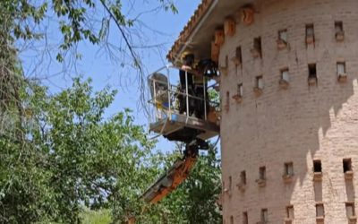 La Concejalía de Medio Ambiente instala medio centenar de cajas nido en diferentes enclaves de la ciudad para proporcionar refugio seguro a especies locales de aves y  murciélagos