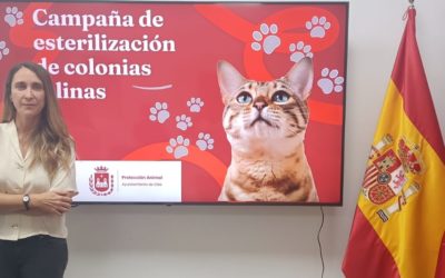 El Ayuntamiento de Elda pone en marcha una nueva campaña de esterilización para controlar  las colonias felinas de la ciudad