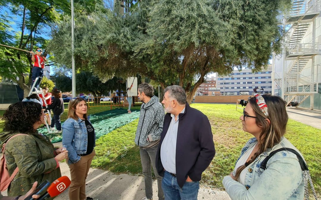 El alumnado del Ciclo de Elaboración de Productos Alimenticios del CIPFP Valle de Elda recolectan olivos situados en jardines de la ciudad para la elaboración de aceite