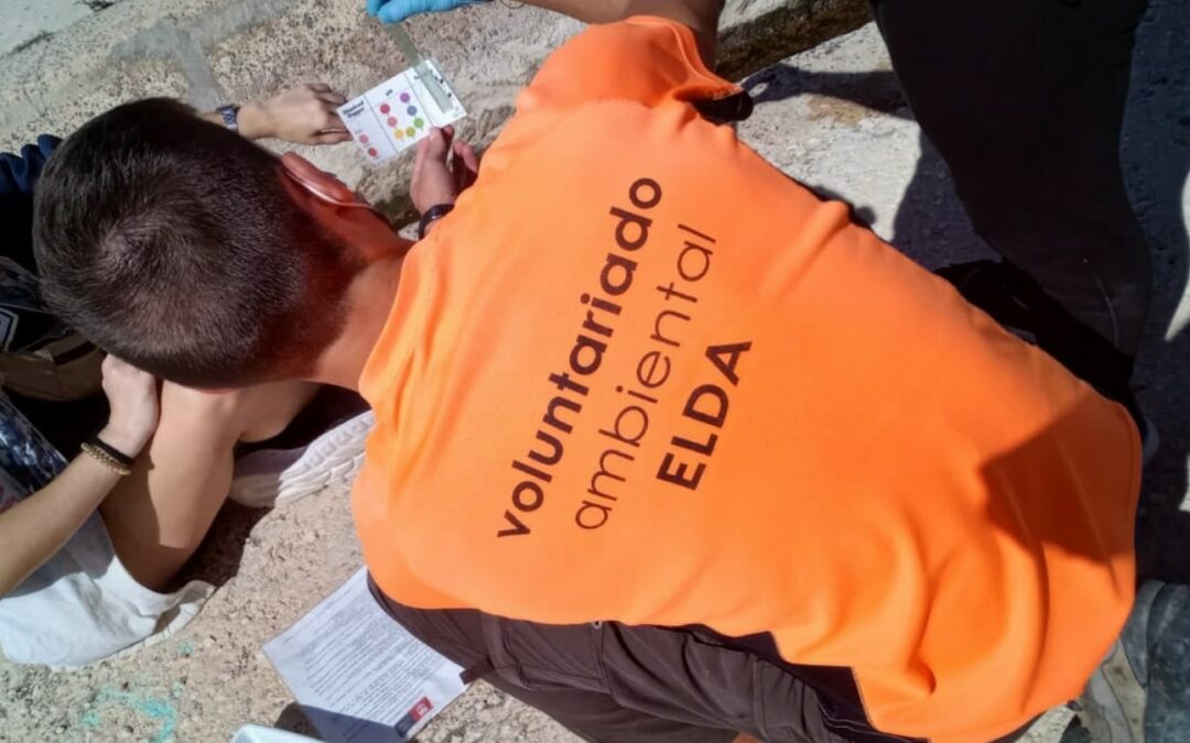 El número de participantes en el voluntario ambiental organizado por el Ayuntamiento de Elda crece un 15% hasta llegar a las 180 personas