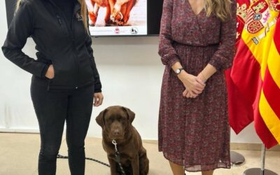 El Ayuntamiento de Elda organiza una serie de charlas para ofrecer herramientas sobre la tenencia responsable y el cuidado de animales