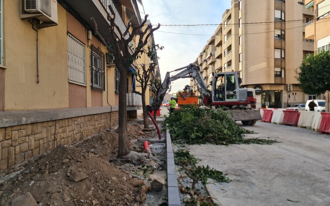 Trasladados cinco árboles de las avenidas Filipinas y Olimpiadas para replantarlos en las inmediaciones de la avenida de Ronda