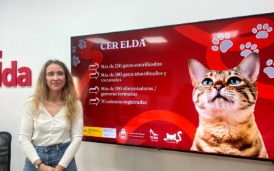 El Ayuntamiento de Elda pone en marcha el protocolo CER para mejorar la gestión ética de las colonias felinas de la ciudad