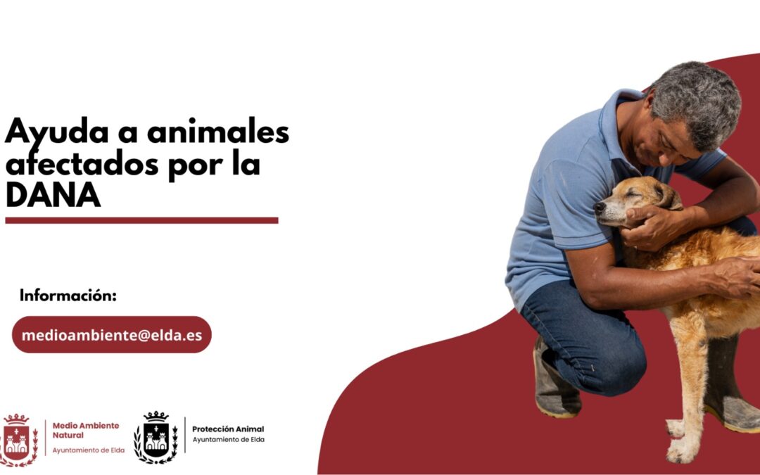 Elda organizará una feria solidaria y recogerá fondos para ayudar a las asociaciones y protectoras animalistas que se han visto afectadas por la DANA