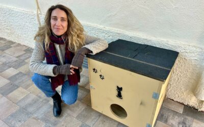 La Concejalía de Protección Animal instala una veintena de casetas que servirán como refugio de las colonias felinas de la ciudad