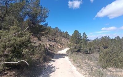 El Ayuntamiento de Elda realiza tareas de mantenimiento y prevención de incendios forestales en la vertiente norte de Camara