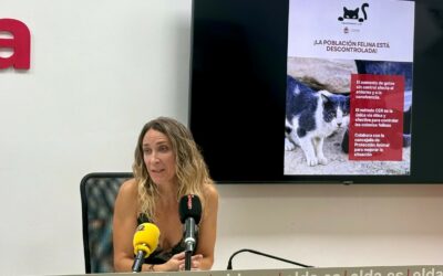 La Concejalía de Proteccion Animal lanza una campaña  para controlar las colonias felinas en las zonas rurales y áreas diseminadas de Elda