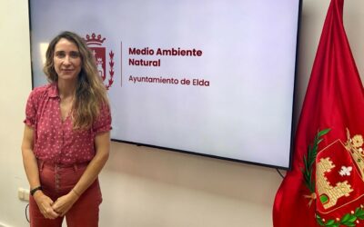 La Concejalía de Protección Animal refuerza el control y la atención veterinaria de las colonias felinas de la ciudad