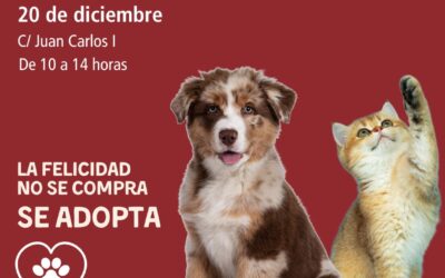 El Ayuntamiento de Elda presenta la II Feria de Protección Animal para fomentar la adopción responsable y la concienciación infantil