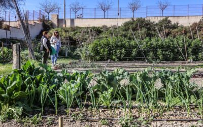 La Concejalía de Medio Ambiente abre el plazo para solicitar parcelas en los Huertos Municipales Ecológicos