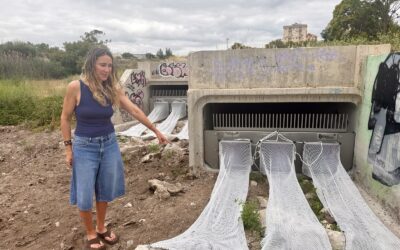 La Concejalía de Medio Ambiente refuerza la renaturalización del río Vinalopó con la instalación de redes para la retirada de toallitas