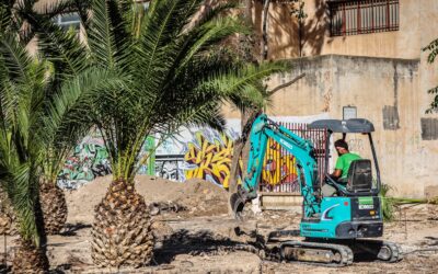 El Ayuntamiento de Elda avanza en la remodelación de la Plaza Rosalía de Castro y prepara la plantación de una veintena de nuevos ejemplares de arbolado